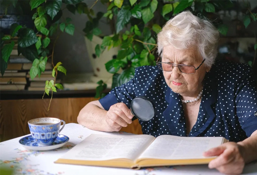 Carer Germany